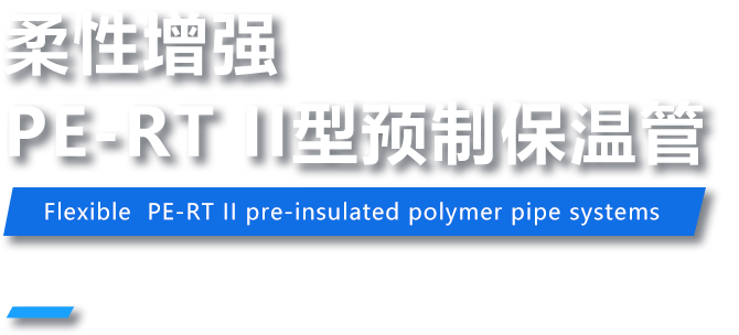管道流量控制解決方案的市場領(lǐng)導(dǎo)者